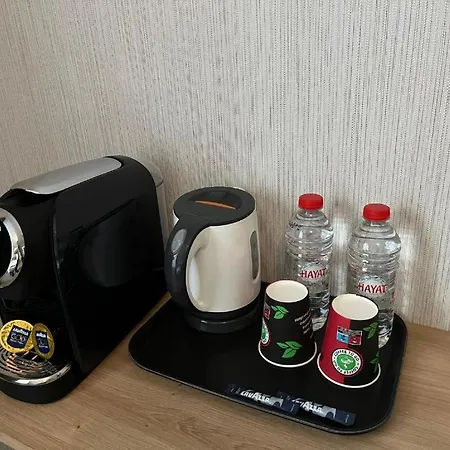 Отель Skyline 3*